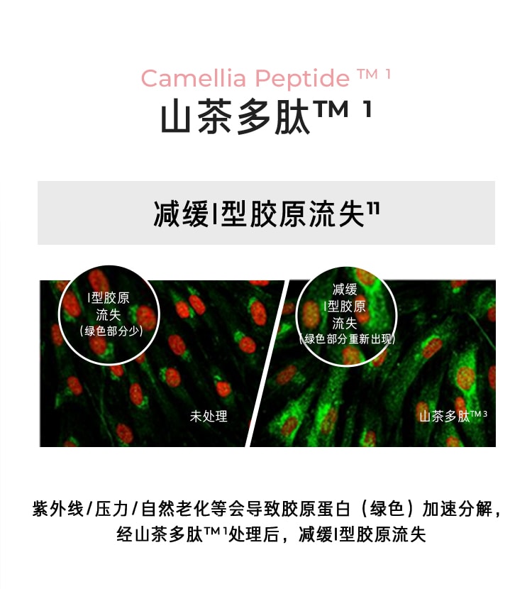 山茶凝时多肽洁面乳