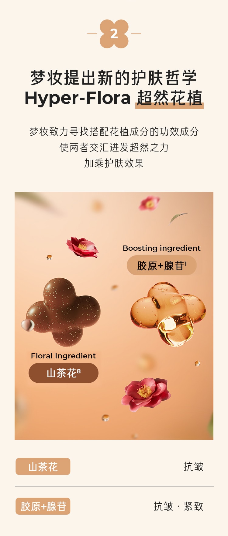 山茶臻颜紧致润颜乳
