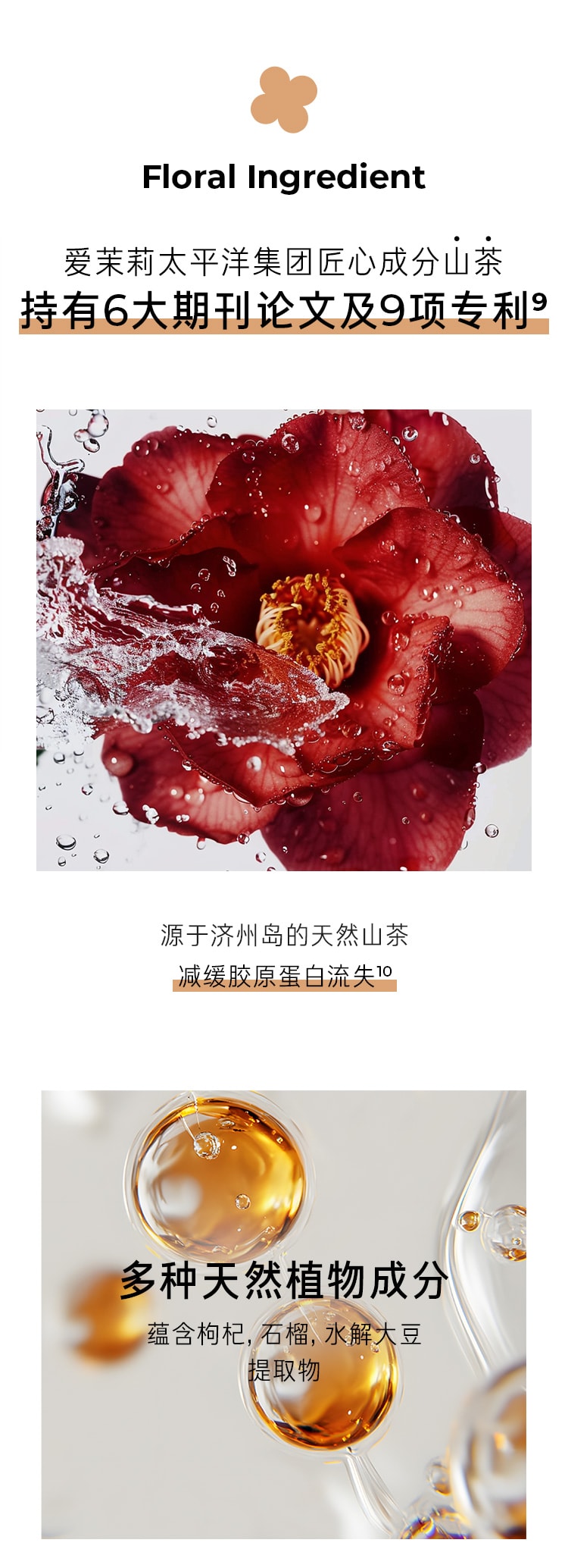 山茶臻颜紧致精华乳