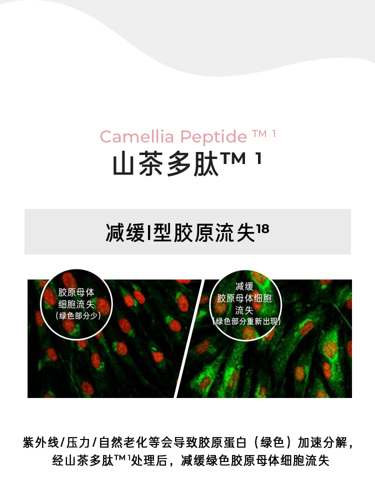 山茶凝时多肽紧颜精华水