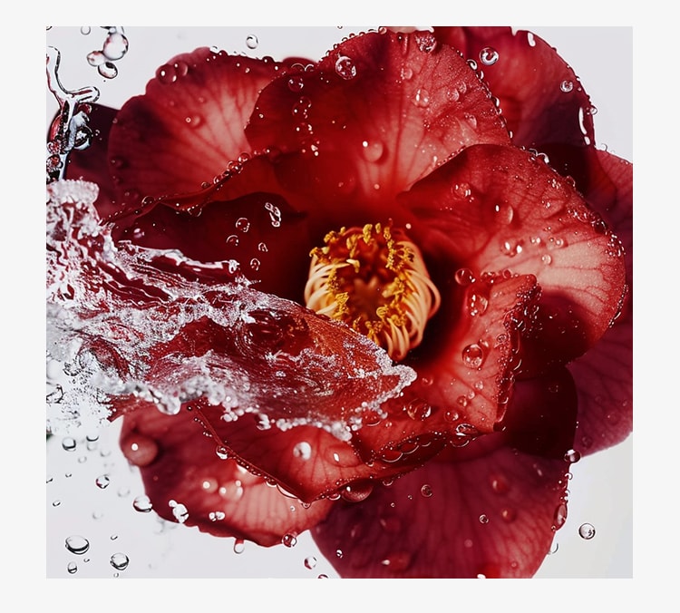 凝时焕白修护眼霜