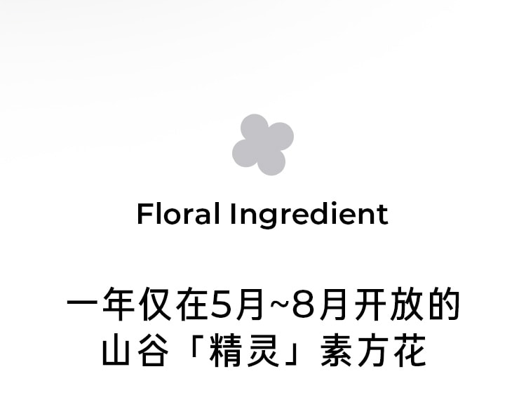 净白修护水感精华防晒霜