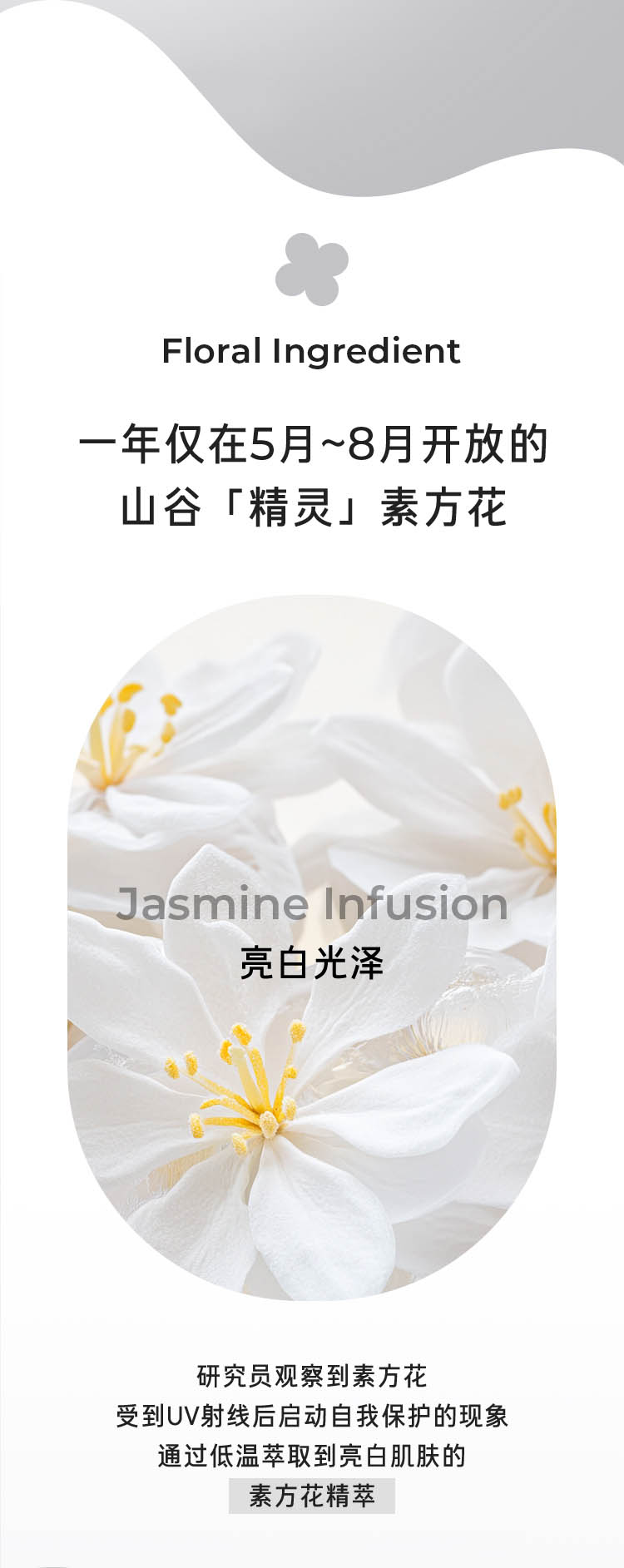 净白修护淡斑精华乳