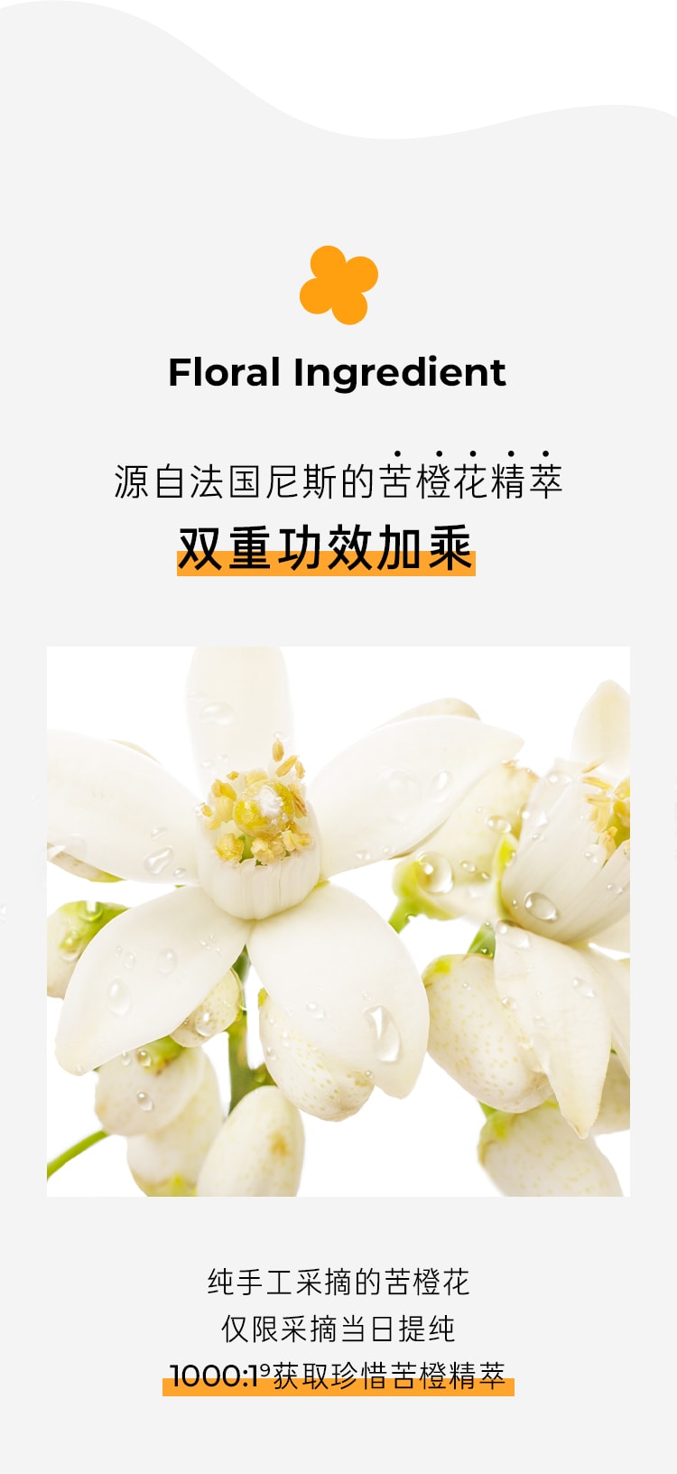 苦橙维他命焕采鲜活水